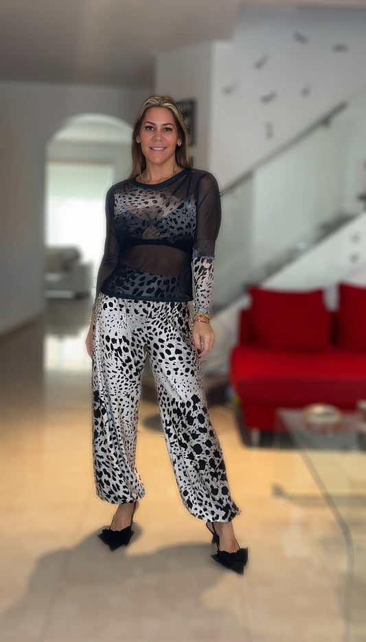Animal Print Aladdin Sets